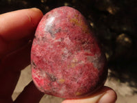 Polished Rare Red Rhodonite Free Forms x 7 From Zimbabwe - Toprock Gemstones and Minerals 