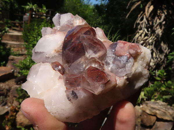 Natural Red Hematite Quartz Specimens  x 6 From Karoi, Zimbabwe - TopRock