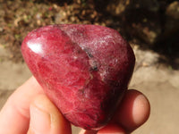 Polished Rare Red Rhodonite Free Forms x 7 From Zimbabwe - Toprock Gemstones and Minerals 