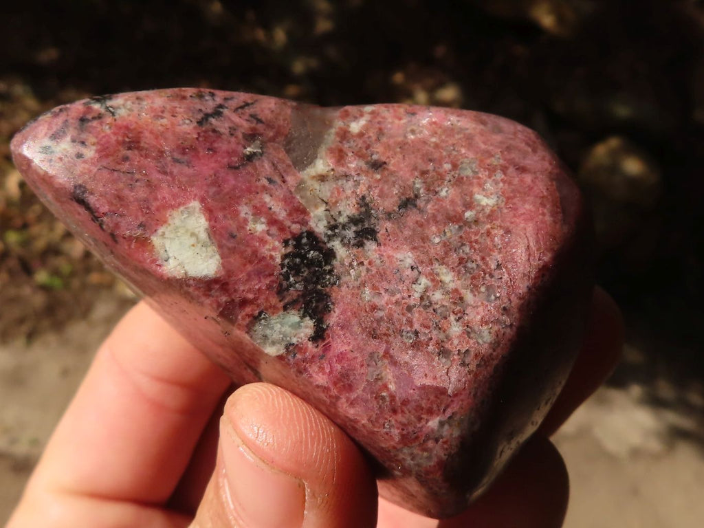 Polished Rare Red Rhodonite Free Forms x 7 From Zimbabwe - Toprock Gemstones and Minerals 