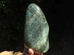 Polished Green Fuchsite Quartz Standing Free Form  x 1 From Madagascar - TopRock