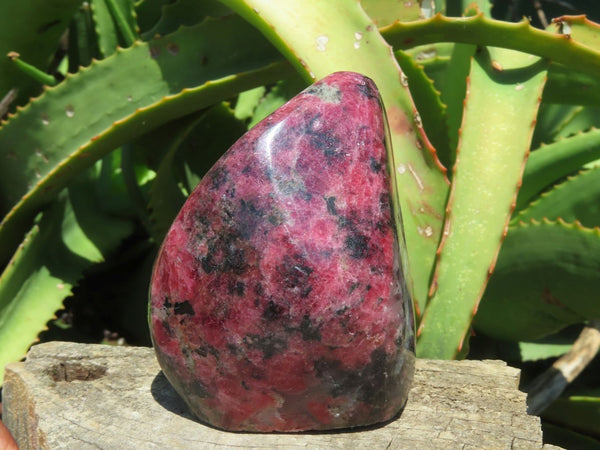 Polished Rhodonite Standing Free Forms x 2 From Zimbabwe - TopRock