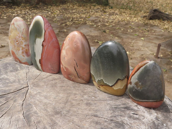 Polished Polychrome / Picasso Jasper Standing Free Forms  x 5 From Mahajanga, Madagascar