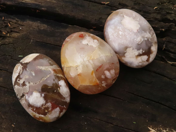 Polished Coral Flower Agate Palm Stones  x 12 From Madagascar - TopRock