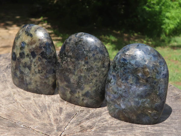 Polished Rare Iolite / Water Sapphire Standing Free Forms  x 6 From Madagascar - TopRock
