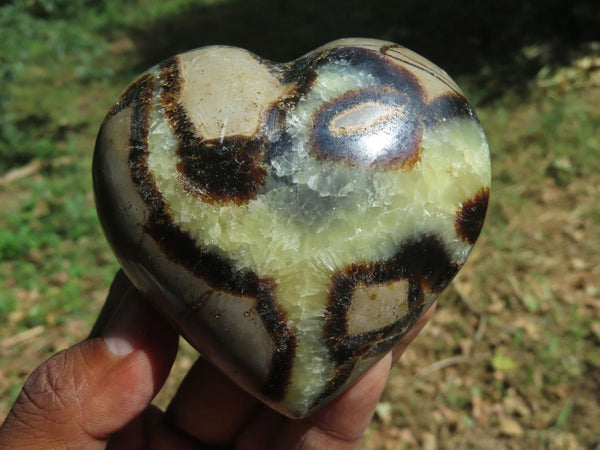 Polished Septerye Hearts x 6 From Madagascar - TopRock