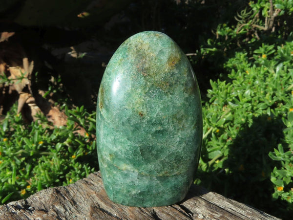 Polished Green Fuchsite Standing Free Forms x 6 From Madagascar - TopRock