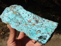 Natural Drusy Coated Chrysocolla Dolomite Specimen x 1 From Congo - Toprock Gemstones and Minerals 