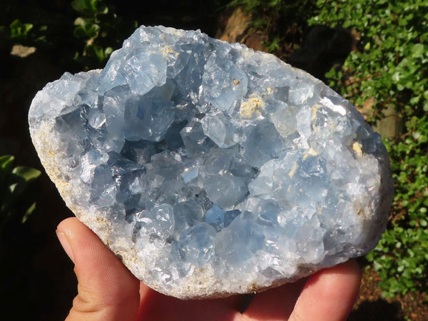 Natural Blue Celestite Geode Specimens  x 2 From Sakoany, Madagascar - Toprock Gemstones and Minerals 