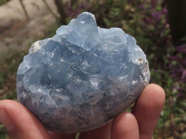 Polished Blue Celestite Crystal Centred Eggs  x 8 From Sakoany, Madagascar