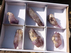 Natural Large Skeletal Amethyst Crystals  x 6 From Chiredzi, Zimbabwe - Toprock Gemstones and Minerals 