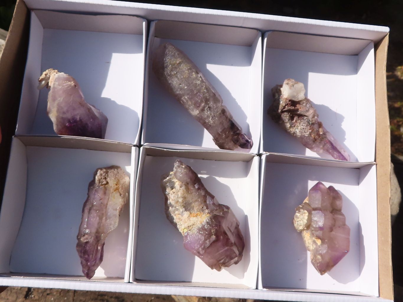 Natural Large Skeletal Amethyst Crystals  x 6 From Chiredzi, Zimbabwe - Toprock Gemstones and Minerals 