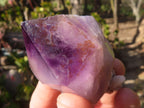 Natural Large Skeletal Amethyst Crystals  x 6 From Chiredzi, Zimbabwe - Toprock Gemstones and Minerals 