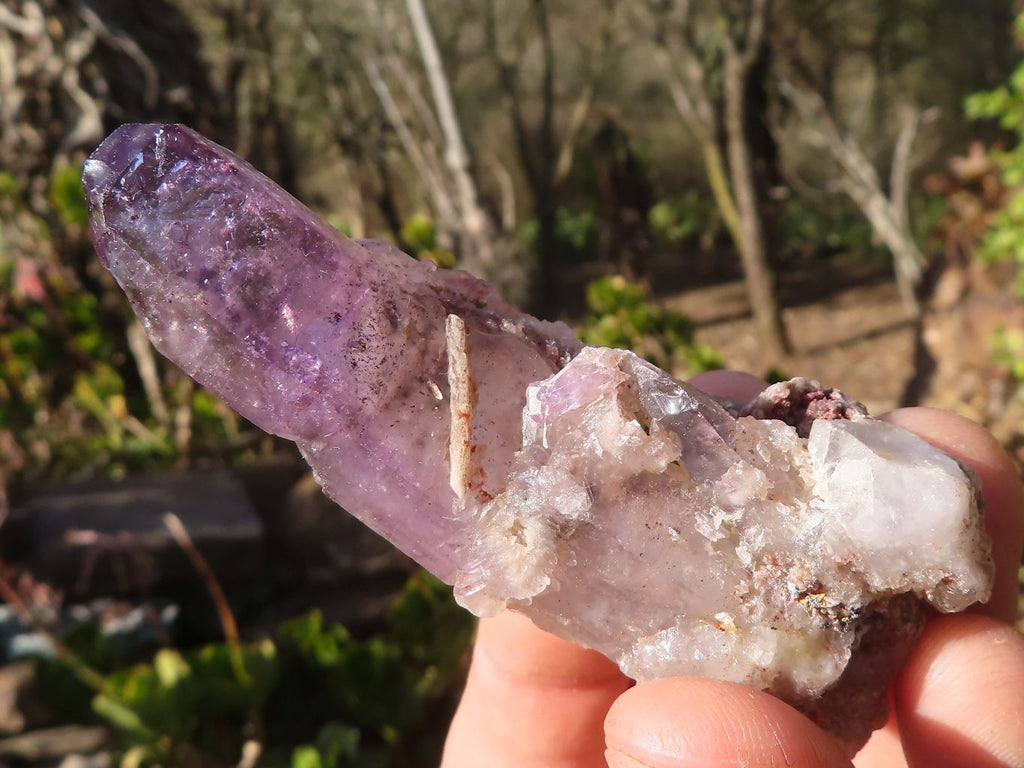 Natural Large Skeletal Amethyst Crystals  x 6 From Chiredzi, Zimbabwe - Toprock Gemstones and Minerals 