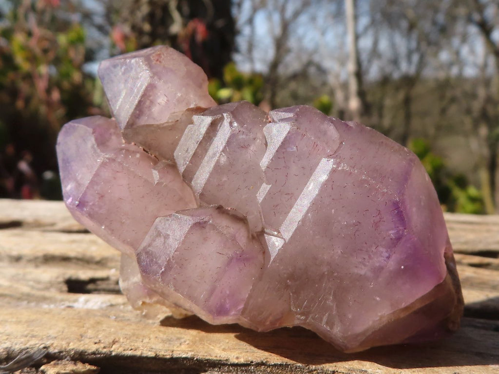 Natural Large Skeletal Amethyst Crystals  x 6 From Chiredzi, Zimbabwe - Toprock Gemstones and Minerals 