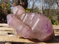 Natural Large Skeletal Amethyst Crystals  x 6 From Chiredzi, Zimbabwe - Toprock Gemstones and Minerals 