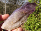 Natural Large Skeletal Amethyst Crystals  x 6 From Chiredzi, Zimbabwe - Toprock Gemstones and Minerals 