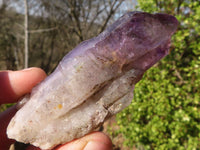 Natural Large Skeletal Amethyst Crystals  x 6 From Chiredzi, Zimbabwe - Toprock Gemstones and Minerals 
