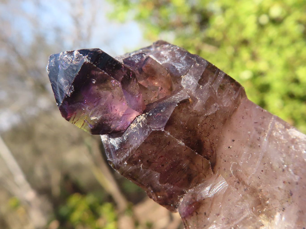Natural Large Skeletal Amethyst Crystals  x 6 From Chiredzi, Zimbabwe - Toprock Gemstones and Minerals 
