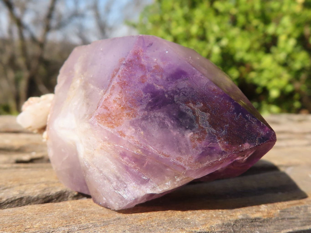 Natural Large Skeletal Amethyst Crystals  x 6 From Chiredzi, Zimbabwe - Toprock Gemstones and Minerals 
