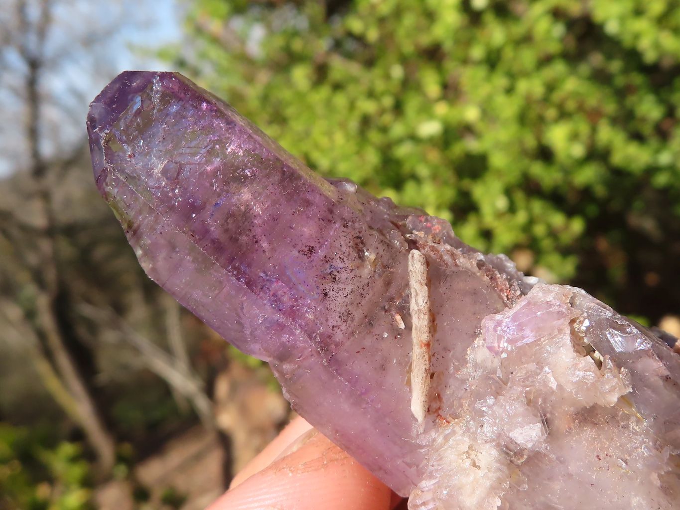 Natural Large Skeletal Amethyst Crystals  x 6 From Chiredzi, Zimbabwe - Toprock Gemstones and Minerals 