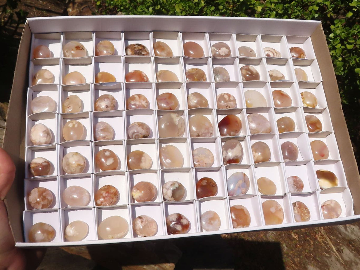 Polished Mini Ocean  Flower Agate Palm Stones  x 70 From Madagascar - Toprock Gemstones and Minerals 