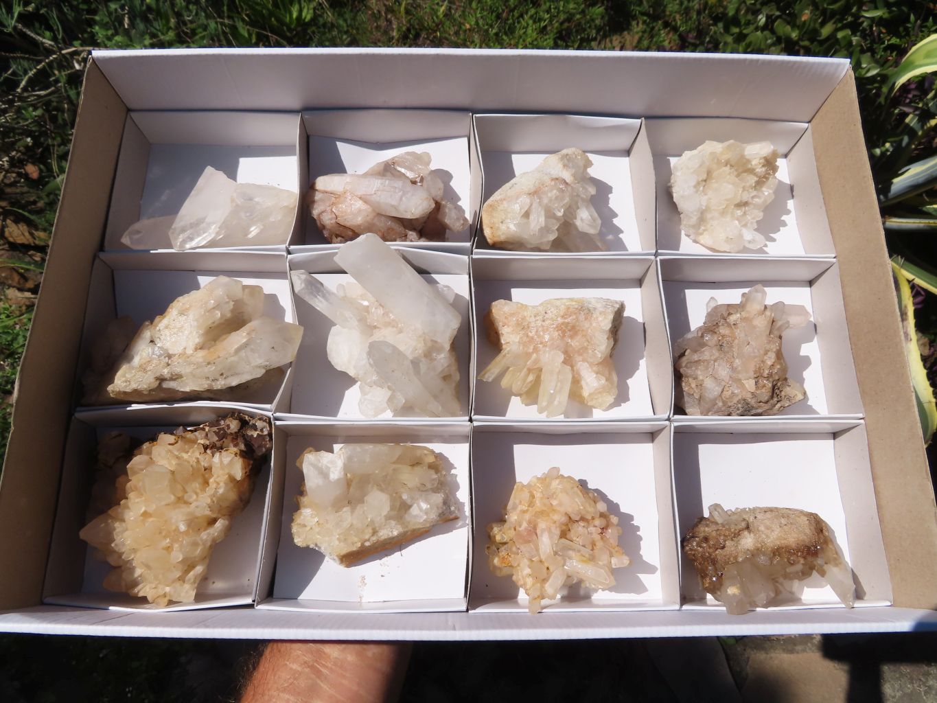 Natural Small Mixed Quartz Clusters x 12 From Madagascar - TopRock