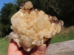 Natural Small Mixed Quartz Clusters x 12 From Madagascar - TopRock