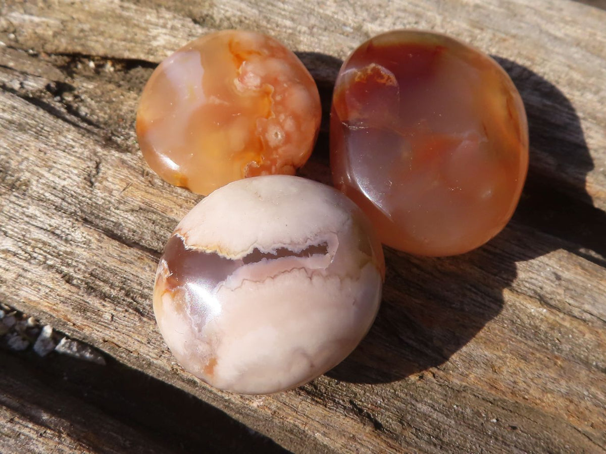 Polished Mini Ocean  Flower Agate Palm Stones  x 70 From Madagascar - Toprock Gemstones and Minerals 