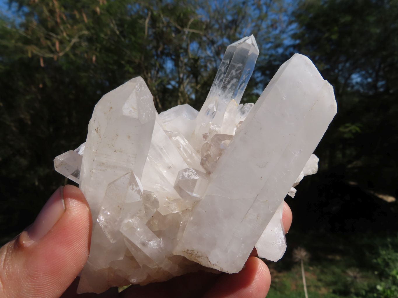 Natural Small Mixed Quartz Clusters x 12 From Madagascar - TopRock