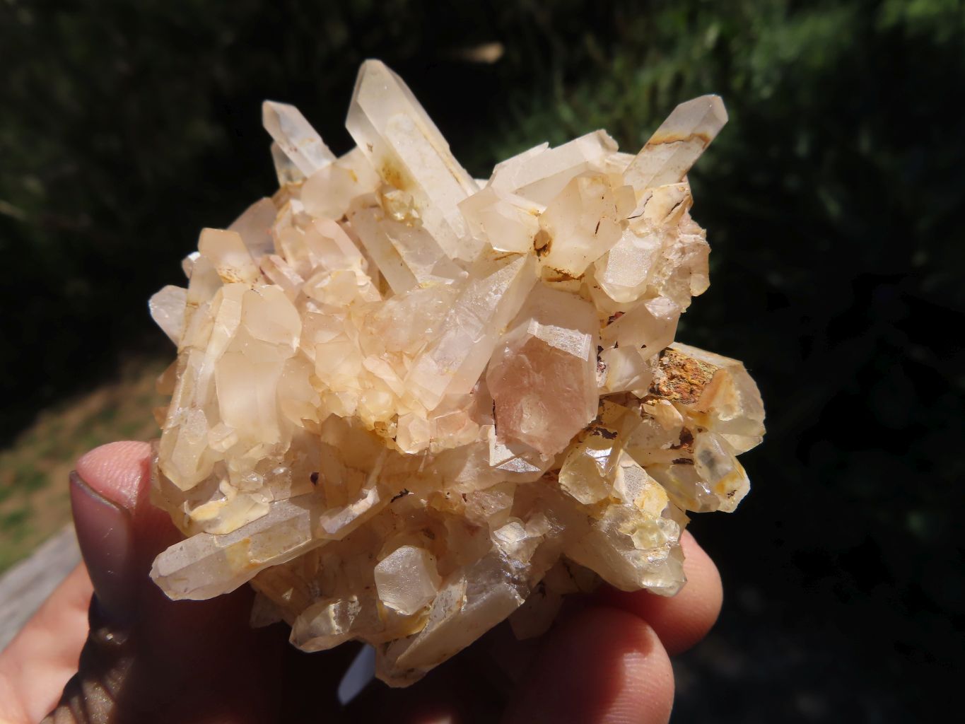 Natural Small Mixed Quartz Clusters x 12 From Madagascar - TopRock