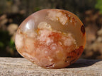 Polished Mini Ocean  Flower Agate Palm Stones  x 70 From Madagascar - Toprock Gemstones and Minerals 
