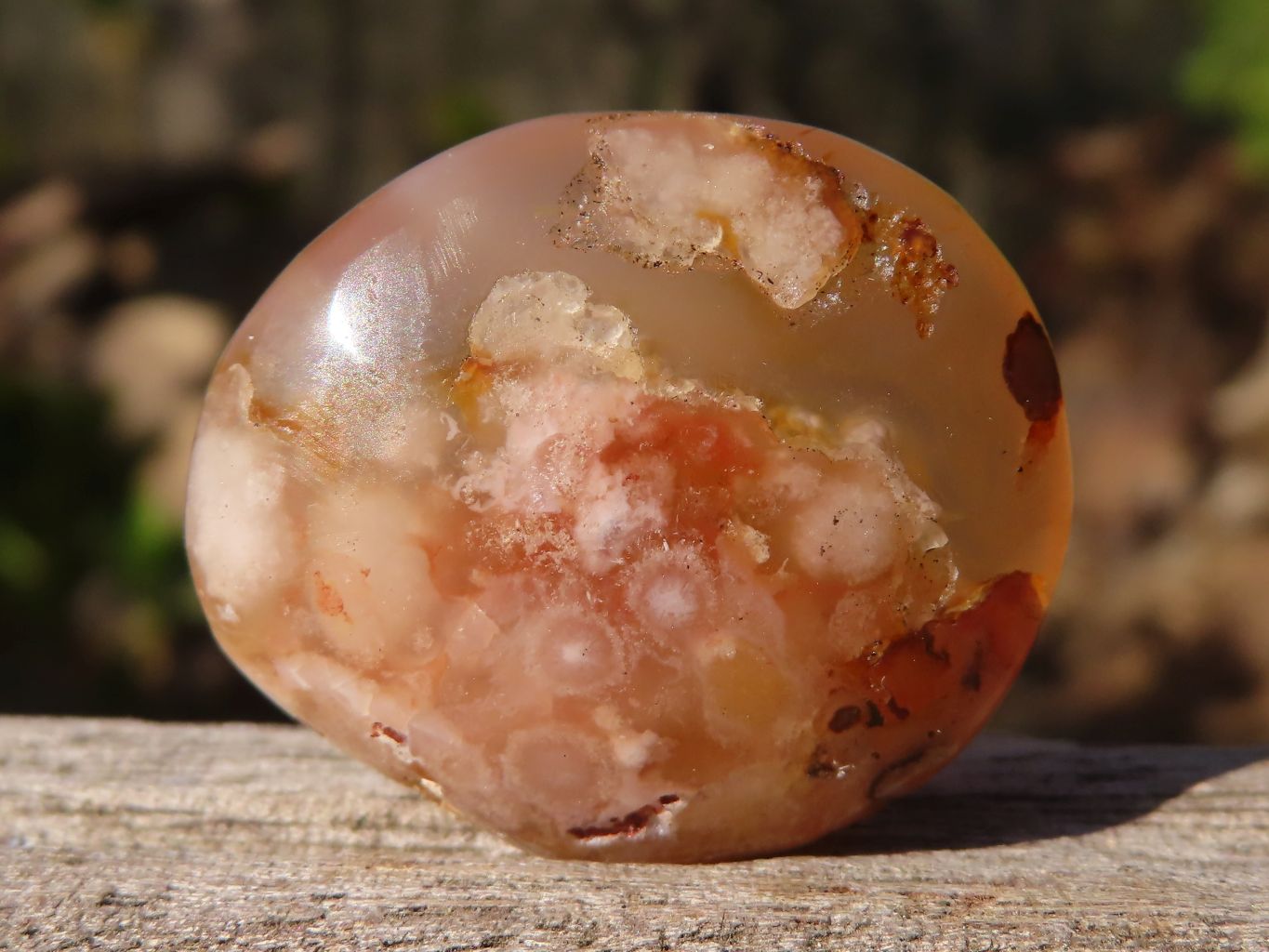 Polished Mini Ocean  Flower Agate Palm Stones  x 70 From Madagascar - Toprock Gemstones and Minerals 