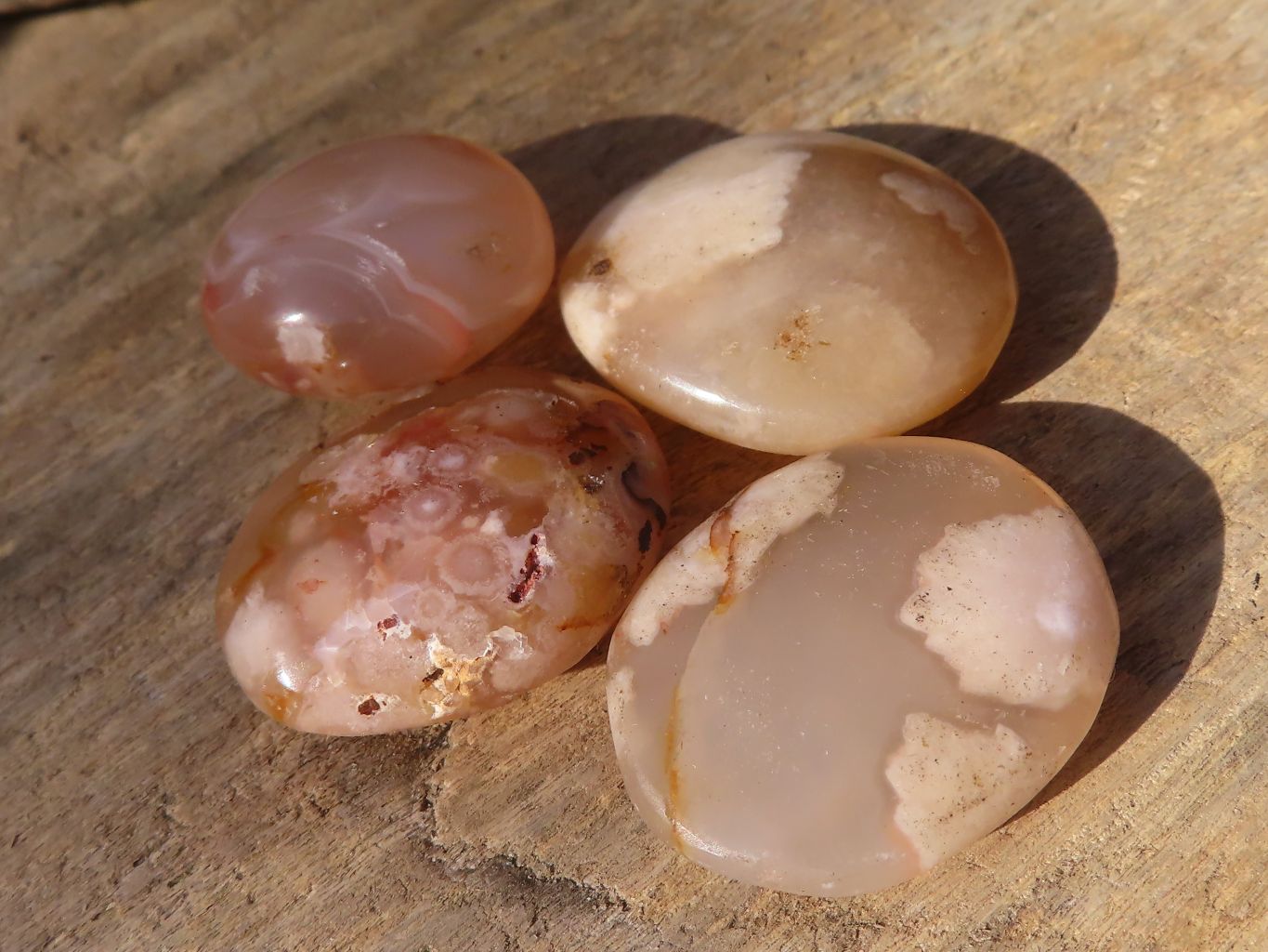 Polished Mini Ocean  Flower Agate Palm Stones  x 70 From Madagascar - Toprock Gemstones and Minerals 
