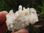 Natural Mini Mixed Quartz Clusters  x 70 From Madagascar - Toprock Gemstones and Minerals 