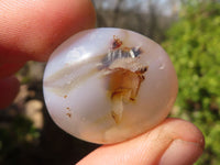 Polished Mini Ocean  Flower Agate Palm Stones  x 70 From Madagascar - Toprock Gemstones and Minerals 