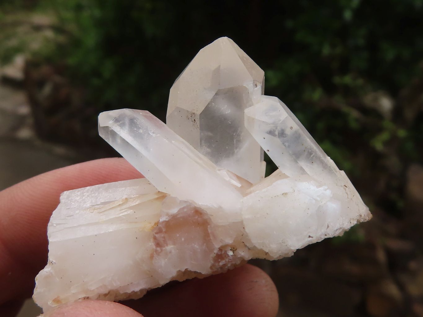Natural Mini Mixed Quartz Clusters  x 70 From Madagascar - Toprock Gemstones and Minerals 