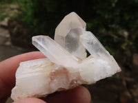 Natural Mini Mixed Quartz Clusters  x 70 From Madagascar - Toprock Gemstones and Minerals 