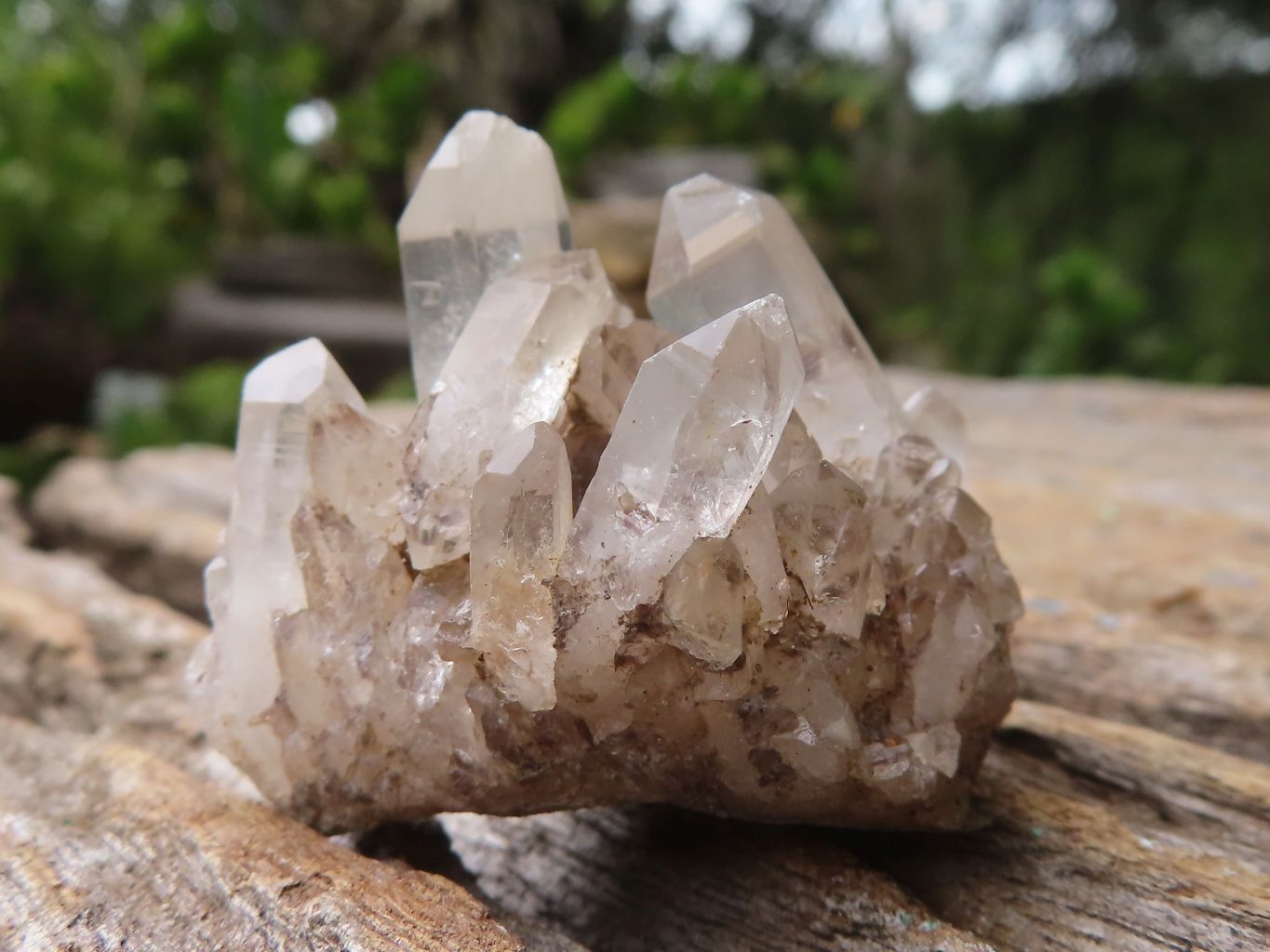 Natural Mini Mixed Quartz Clusters  x 70 From Madagascar - Toprock Gemstones and Minerals 