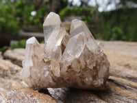 Natural Mini Mixed Quartz Clusters  x 70 From Madagascar - Toprock Gemstones and Minerals 