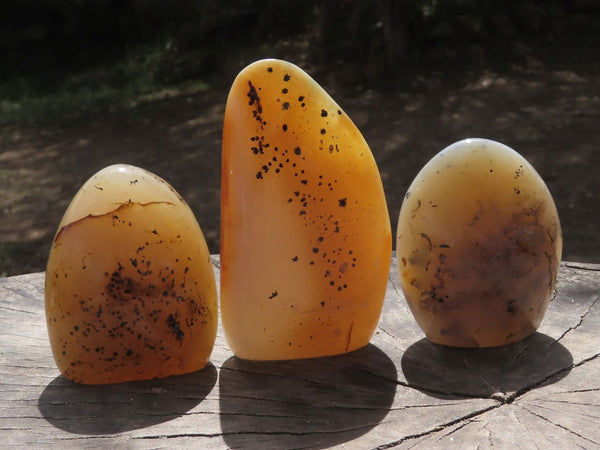 Polished Gorgeous Dendritic Agate Standing Free Forms  x 4 From Moralambo, Madagascar - TopRock