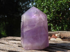 Polished Gemmy Clear Amethyst Points  x 2 From Madagascar - TopRock