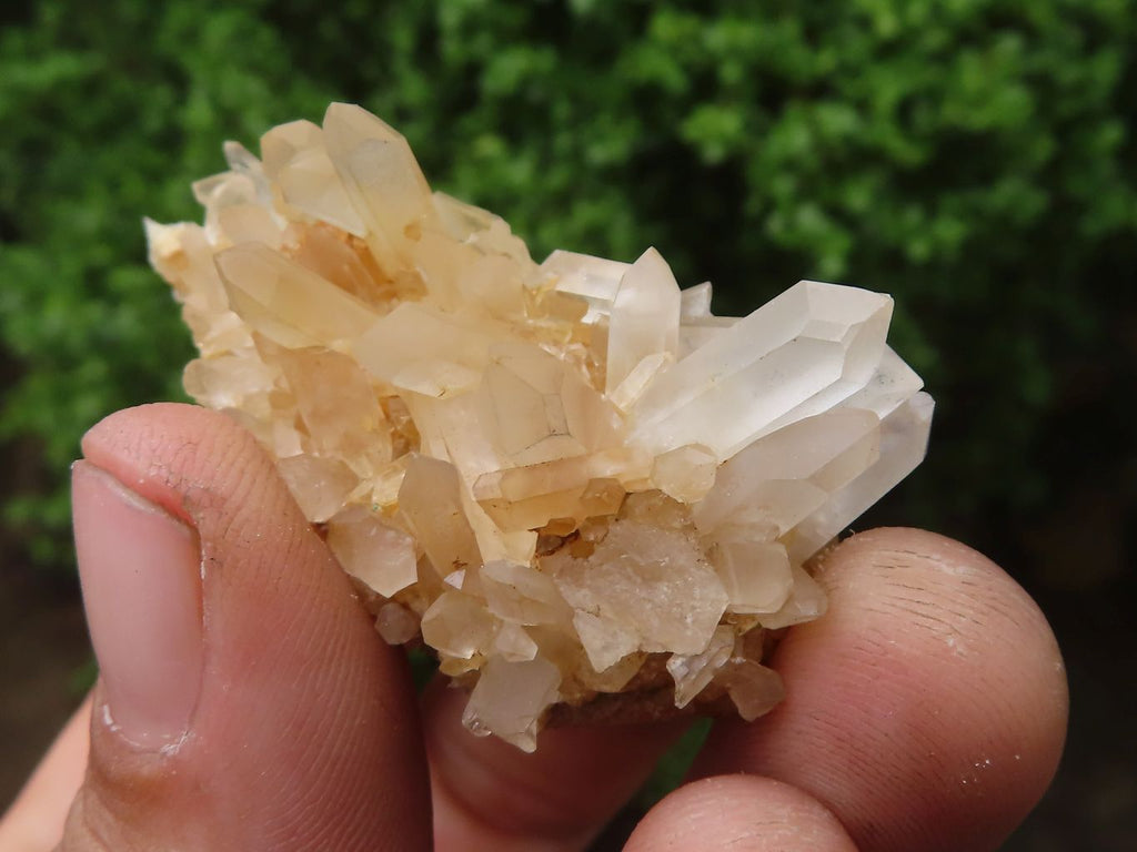 Natural Mini Mixed Quartz Clusters  x 70 From Madagascar - Toprock Gemstones and Minerals 