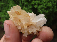 Natural Mini Mixed Quartz Clusters  x 70 From Madagascar - Toprock Gemstones and Minerals 