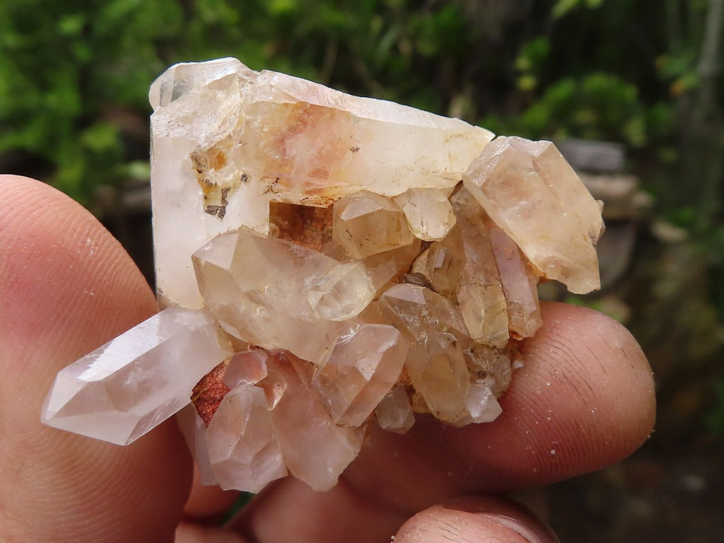 Natural Mini Mixed Quartz Clusters  x 70 From Madagascar - Toprock Gemstones and Minerals 
