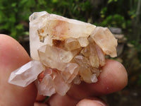 Natural Mini Mixed Quartz Clusters  x 70 From Madagascar - Toprock Gemstones and Minerals 