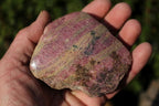 Polished One Sided Pink Rhodonite with Chromite Specimens  x 4 From Madagascar - TopRock