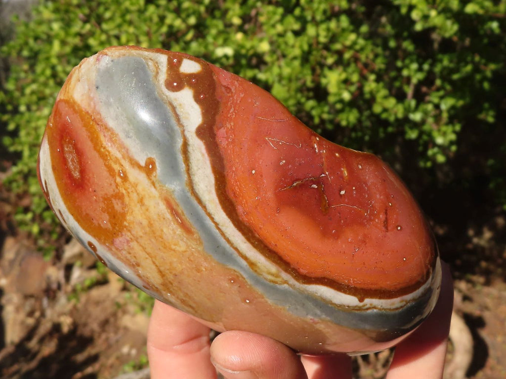 Polished Polychrome Jasper Domed Pieces  x 4 From Madagascar - Toprock Gemstones and Minerals 