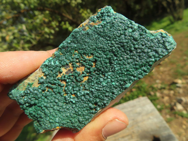 Natural Micro Botryoidal Malachite Specimens  x 12 From Congo - TopRock