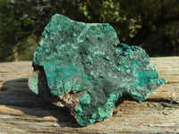 Natural Micro Botryoidal Malachite Specimens  x 12 From Congo - TopRock